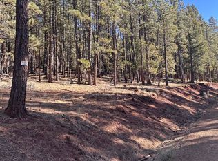 88 Mammoth Mountain Rd, Angel Fire, NM 87710