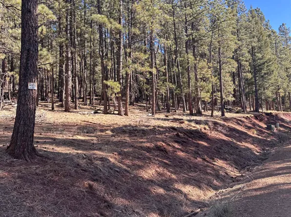 88 Mammoth Mountain Rd, Angel Fire, NM 87710