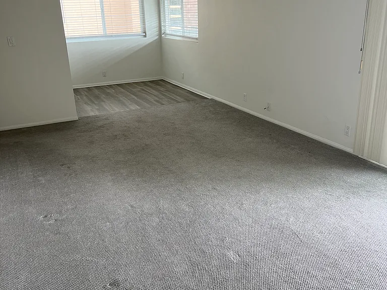 325 Liverpool Dr — Photo 13