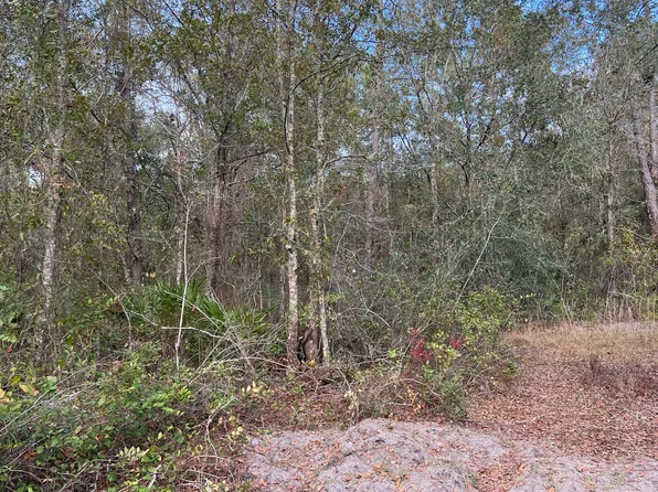 0 SE Kerce Gln, Lulu, FL 32061