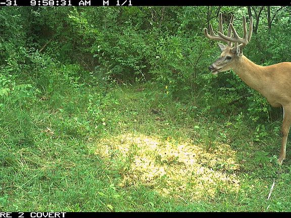 3rd image of 2394 Highway 44