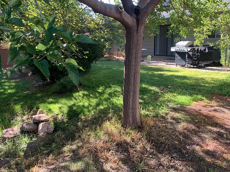 3028 Canyon View Dr — Photo 13