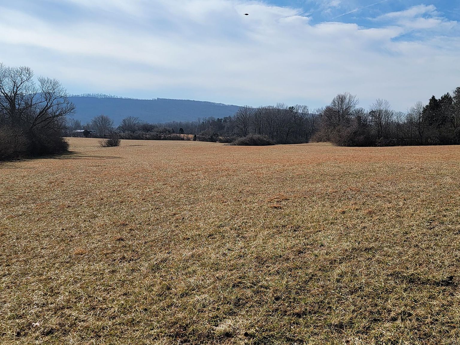 58 Westel Rd 67, Rockwood, TN 37854 Zillow