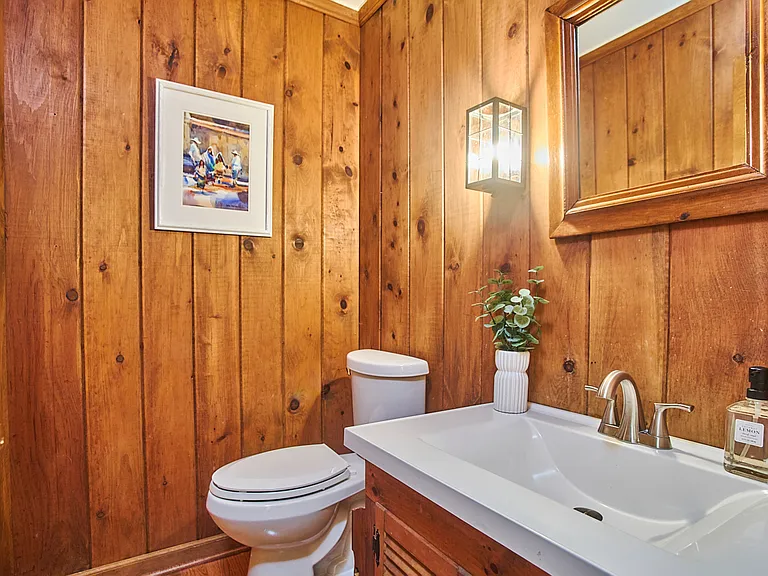 Guest Bathroom downstairs.