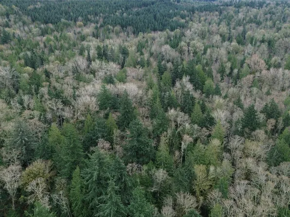 9 E Street, Bellingham, WA 98225