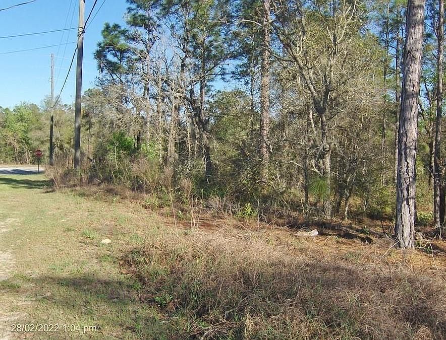 2nd image of 2802 W BUCCANEER LANE LOT 11