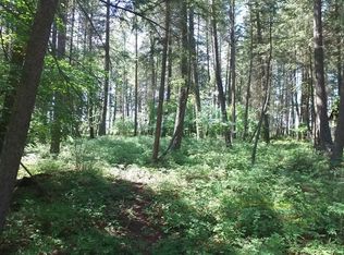 78 Ranchetts Ln, Bigfork, MT 59911