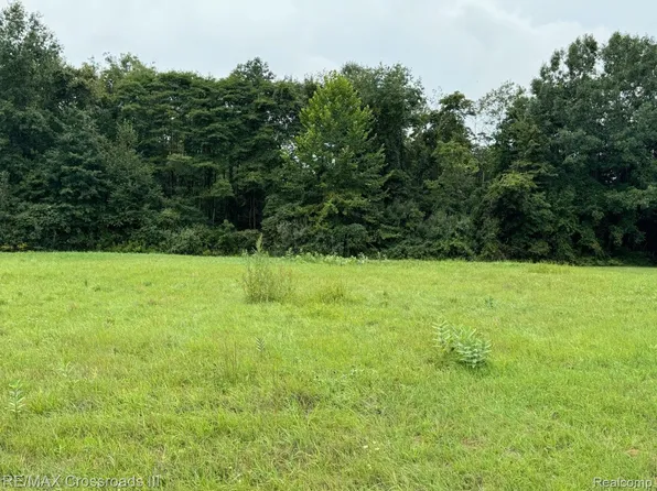 20728 Griffin Ct #10, Belleville, MI 48111