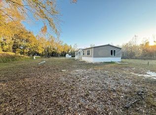 15356 Apache Dr, Thonotosassa, FL 33592