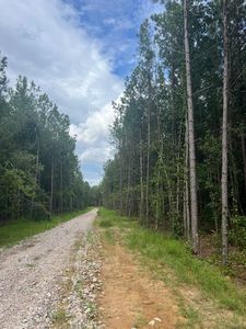 Frazier Rd Lot 2, Spring Hope, NC, 27882