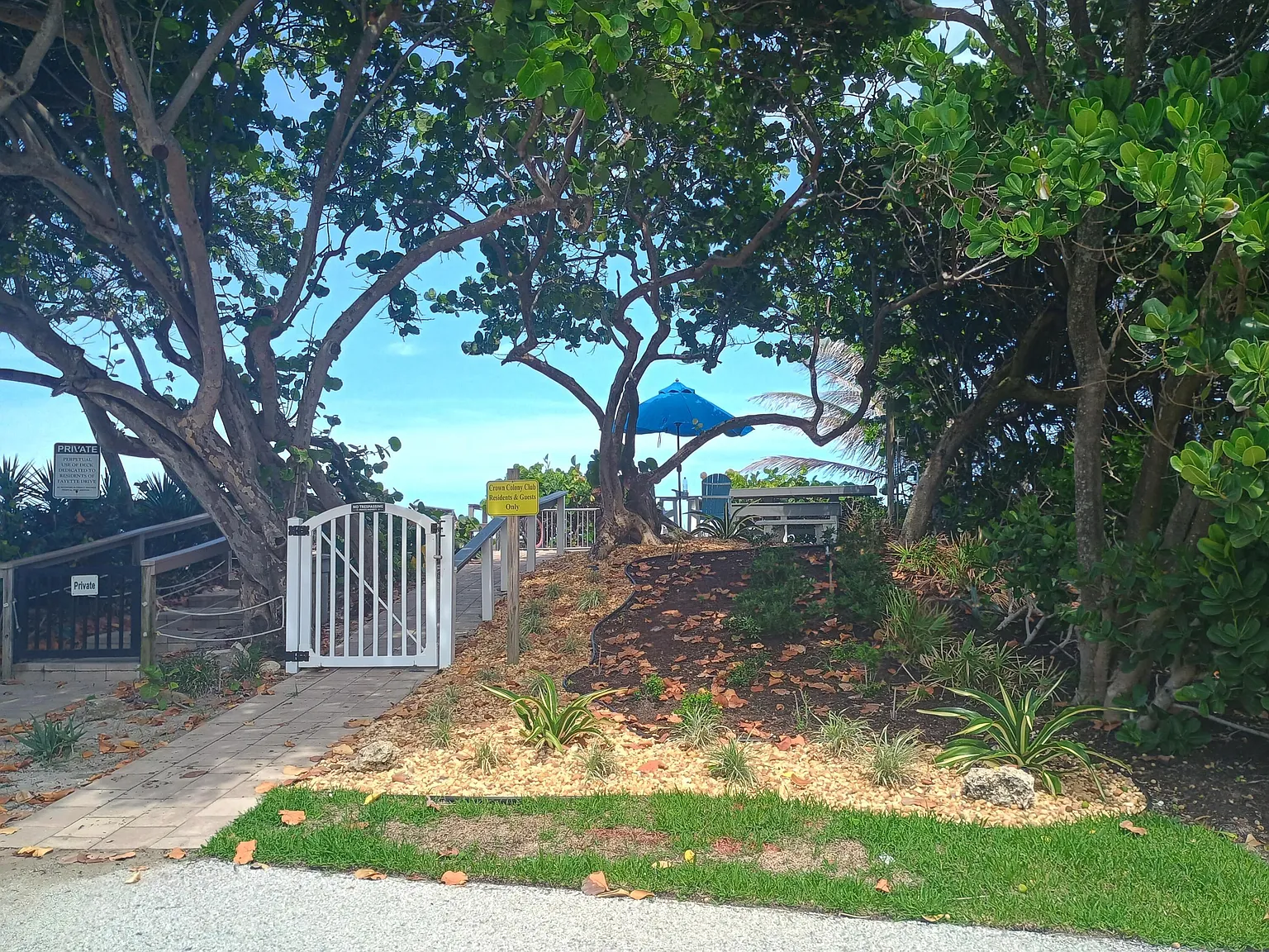 1 bed, 1.0 bath, 665 sqft, $2,600 — Photo 4
