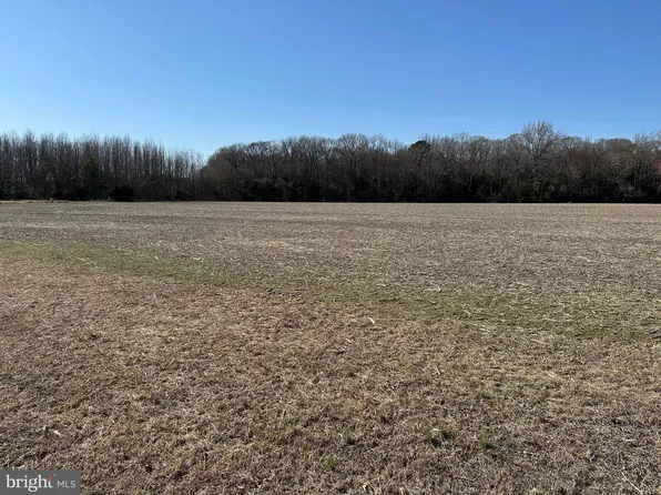 0 Adkins Rd, Delmar, MD 21875