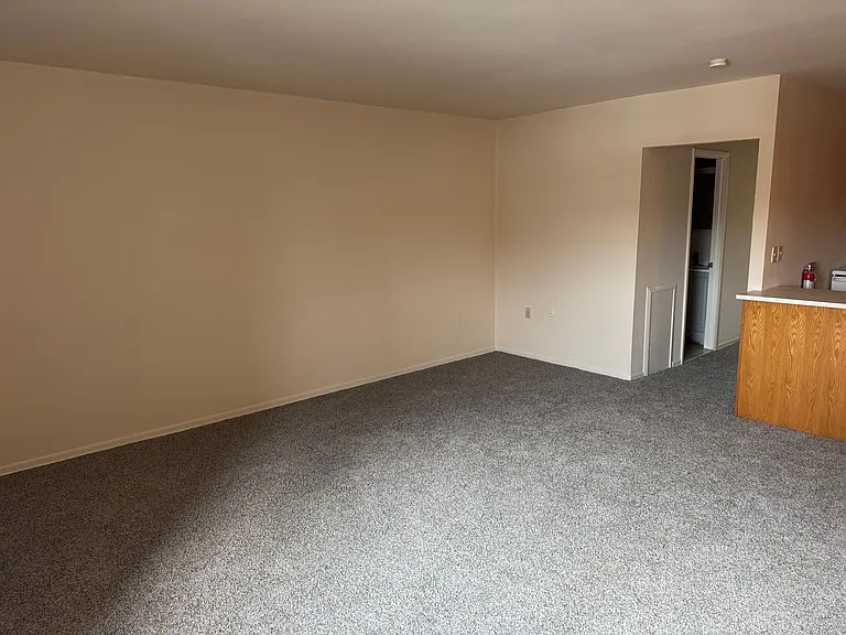 203 E Chestnut Street — Photo 18