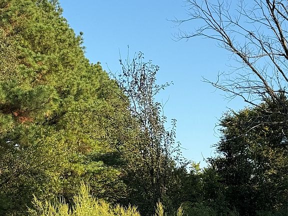 4th image of 2048 Mockingbird Rd