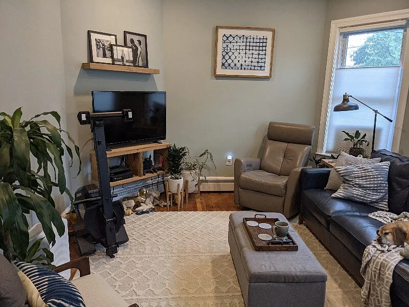 21 Rossmore St #1