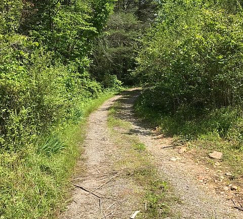 Drive way