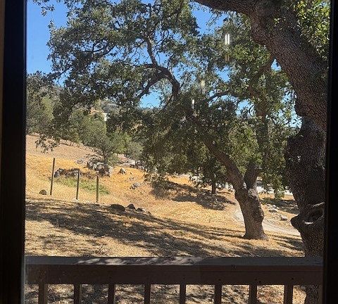 View off east deck