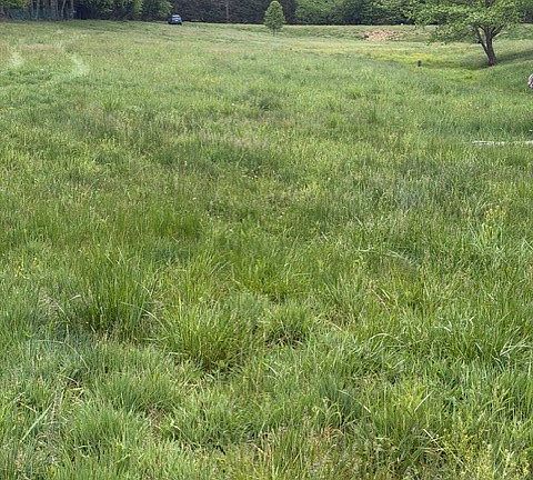 2nd image of TBD Fraser Road