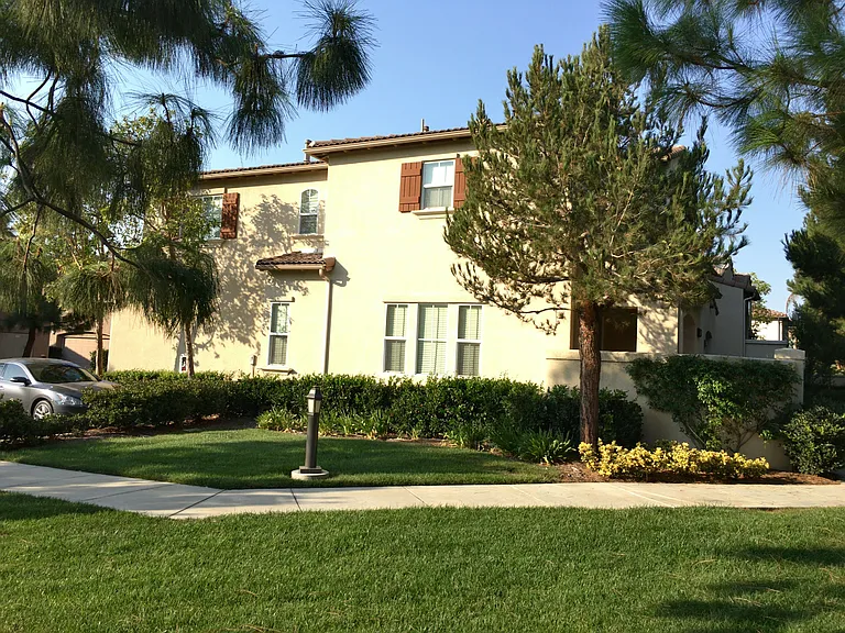 19 Trailing Vine — Photo 2