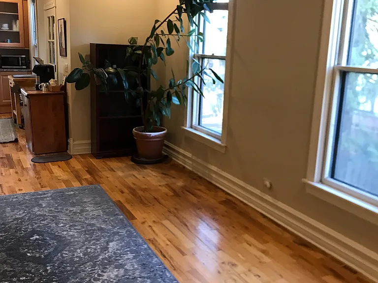 large east facing windows in dining room