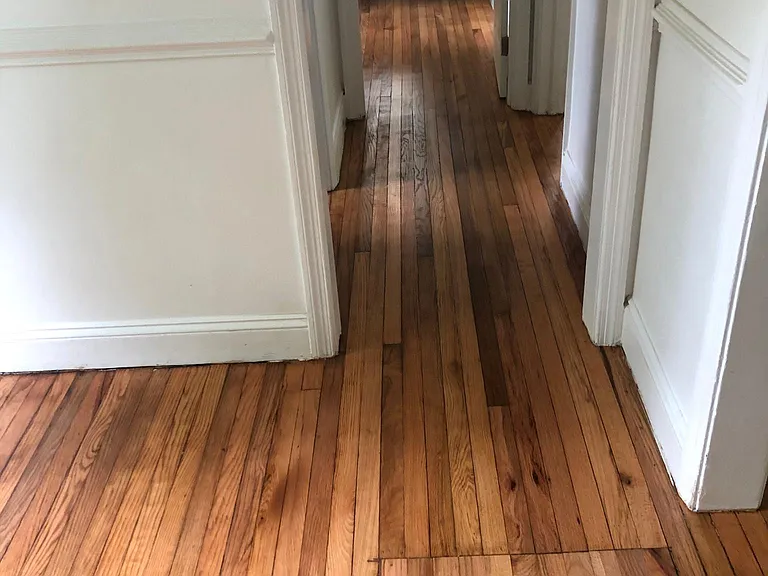 5005 Pine Crest Ave — Photo 15