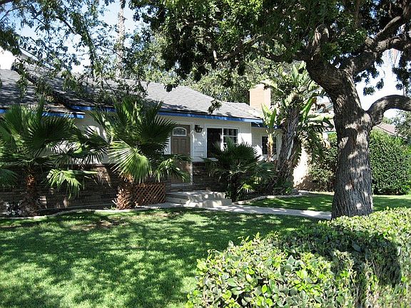 Front Yard - Orange Street