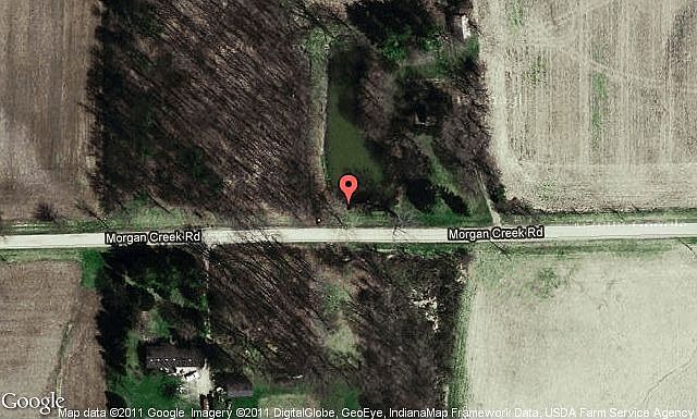 Map View