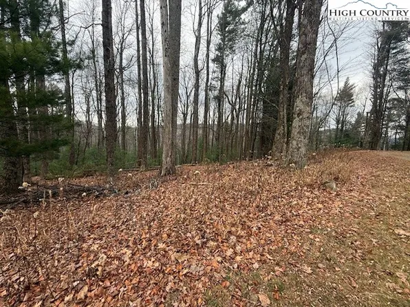 TBD Jobs Road, Laurel Springs, NC 28644