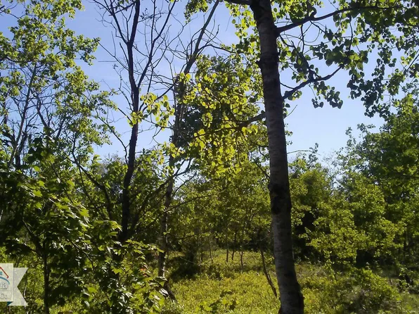 5518 Old Stump Rd, Gaylord, MI 49735