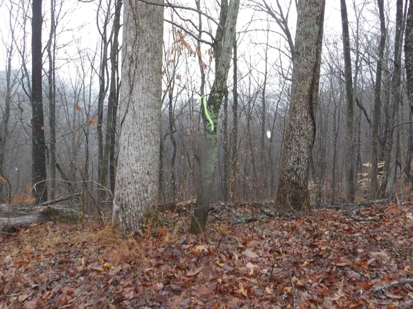 0 Savannah Dr Lot 17&18, Smithville, TN 37166