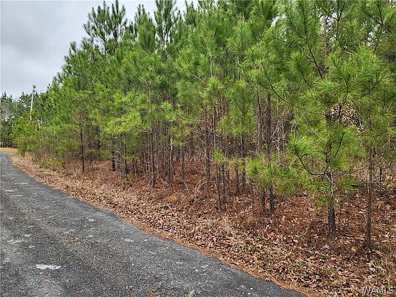 2nd image of 9 Milldale Rd