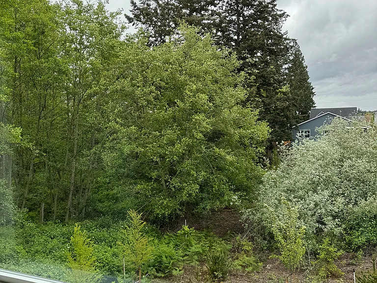 75th Dr NW — Photo 17