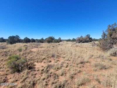 4359 Greeley Dr #277, Williams, AZ, 86046