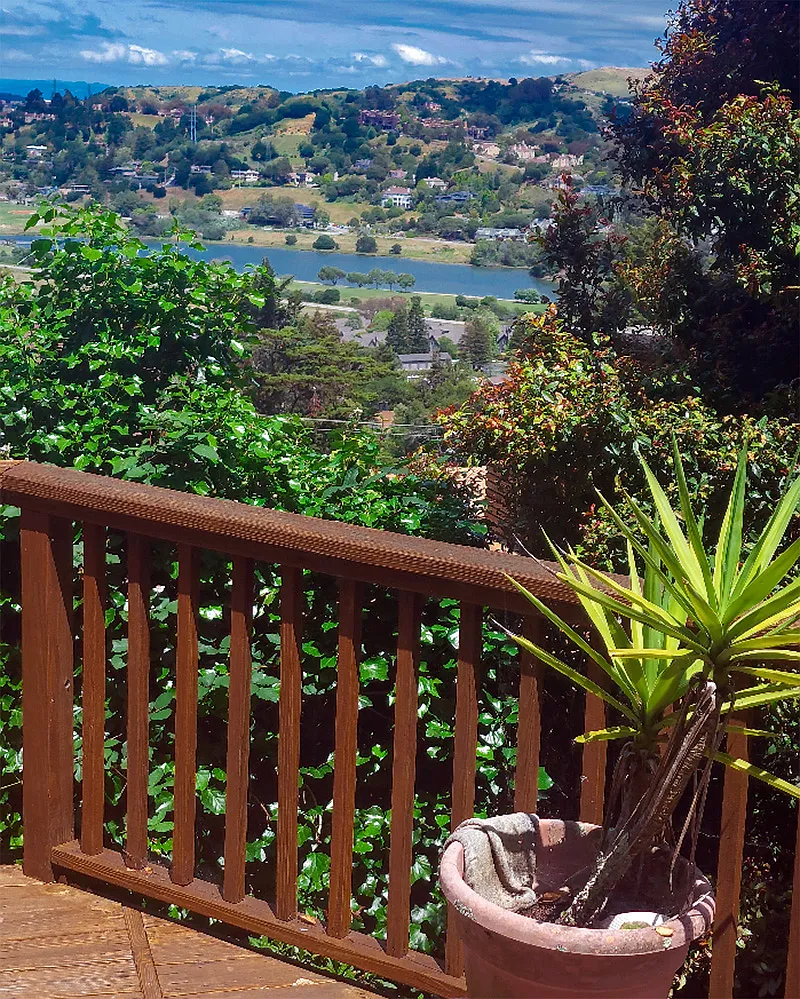 View from the deck of Richardson Bay. - Harvard Ave