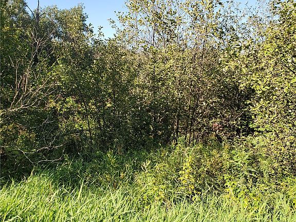 3rd image of 0 Shell Creek Road