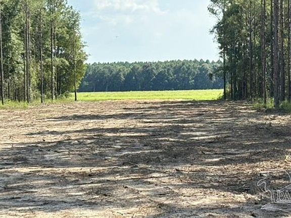 4th image of LOT 89 Posie Forest Rd
