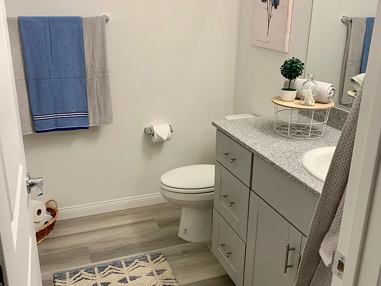 2828 Mosaic Moon Ln — Photo 39