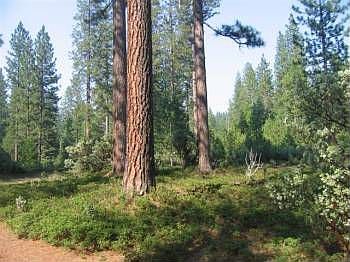2nd image of 2042 Mokelumne Dr E