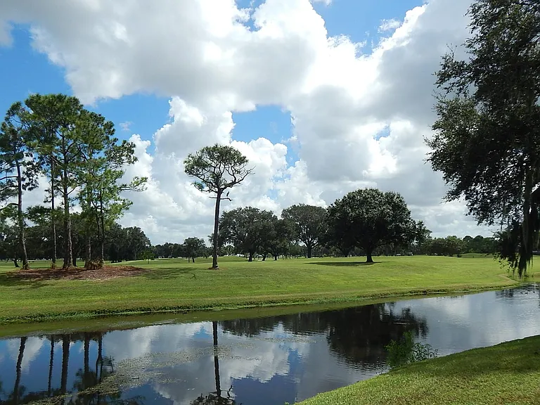 Southerly ground view from back of our building across canal and golf course.