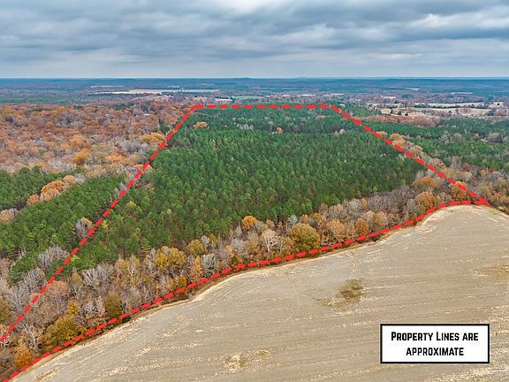 5th image of County Road 291