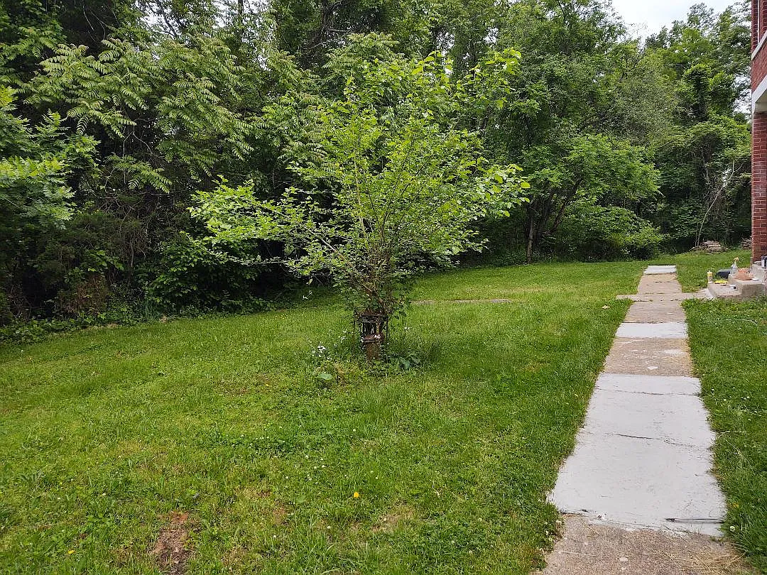 2 bed, 1.5 bath, 1300 sqft, $1,700 — Photo 3