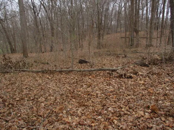 Johns Rd, Butler, KY 41006