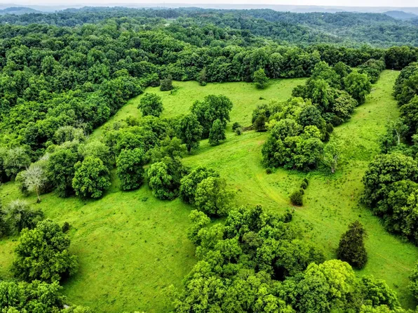 0 Beech Hill Rd, Pulaski, TN 38478