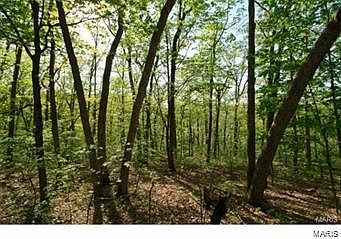2nd image of 13 Callaway Lake Dr