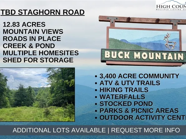 TBD Staghorn Road, Purlear, NC 28665