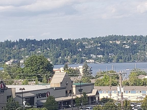 View from Diningroom