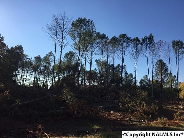 2nd image of 102 Richard Brown Rd