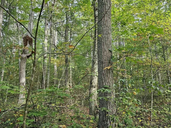 1420 Burnt Cabin Rd, Princeton, WV 24739