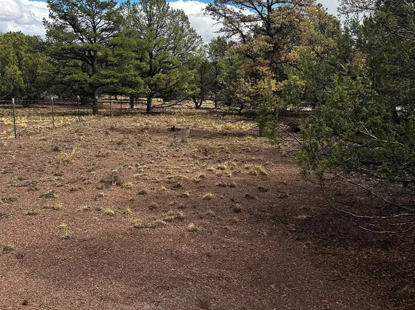 9 Juniper Way, Datil, NM 87821