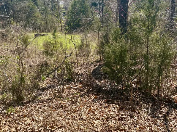 180 Green Briar Drive, Branson, MO 65616